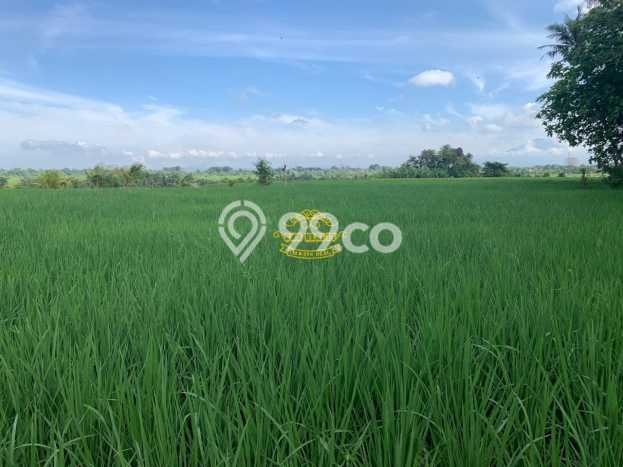 Tanah Dijual Lokasi Strategis di Badung dengan Luas 3100m2 Tanah Dijual Lokasi Strategis di Badung dengan Luas 3100m2