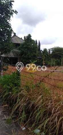 Lahan Dijual Lokasi Denpasar Timur, Denpasar dengan Luas Tanah 2900m2 dan Status SHM Lahan Dijual Lokasi Denpasar Timur, Denpasar dengan Luas Tanah 2900m2 dan Status SHM