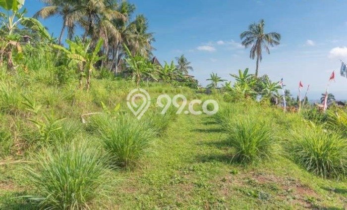 Vila di , Ukuran 2350m2m², Kawasan Tenang untuk hunian Vila di , Ukuran 2350m2m², Kawasan Tenang untuk hunian