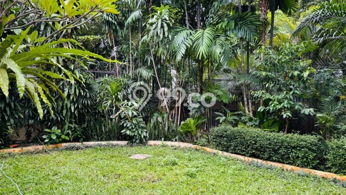 Dijual Rumah Premium dengan Fasilitas Sekitar Lengkap di Menteng, Jakarta Pusat Dijual Rumah Premium dengan Fasilitas Sekitar Lengkap di Menteng, Jakarta Pusat