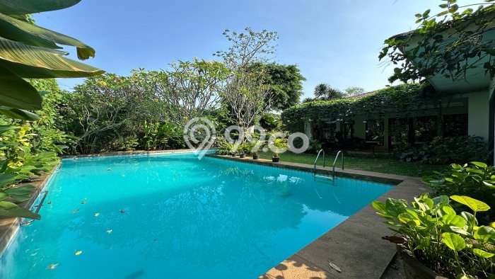 Rumah Bagus Disewakan di Pejaten, Jakarta Selatan LT 1000m2, LB 500m2 Rumah Bagus Disewakan di Pejaten, Jakarta Selatan LT 1000m2, LB 500m2