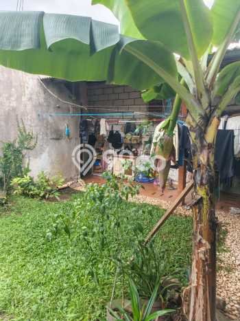 Rumah Murah Dijual Area Pondok Aren, Tangerang Selatan Harga Rp 11 Juta Rumah Murah Dijual Area Pondok Aren, Tangerang Selatan Harga Rp 11 Juta