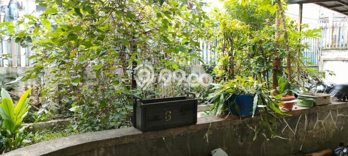 Dijual Rumah Premium dengan Fasilitas Sekitar Lengkap di Cicendo, Bandung Dijual Rumah Premium dengan Fasilitas Sekitar Lengkap di Cicendo, Bandung