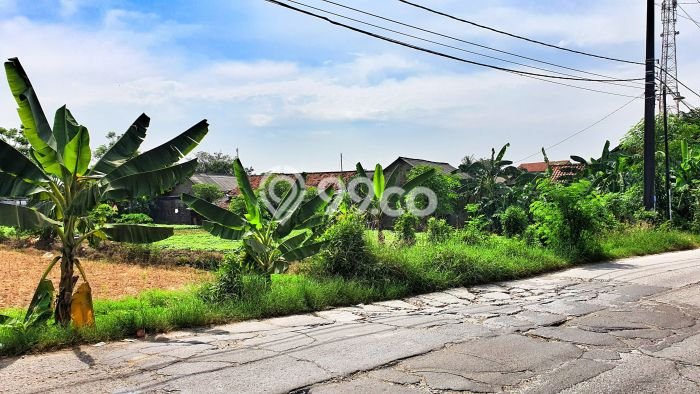 Tanah Siap Bangun Dijual di Bekasi Punya Luas 2478m2 Tanah Siap Bangun Dijual di Bekasi Punya Luas 2478m2