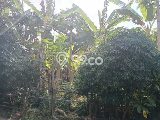 Dijual Tanah Lokasi Saba, Gianyar Seluas 200m2 Dijual Tanah Lokasi Saba, Gianyar Seluas 200m2