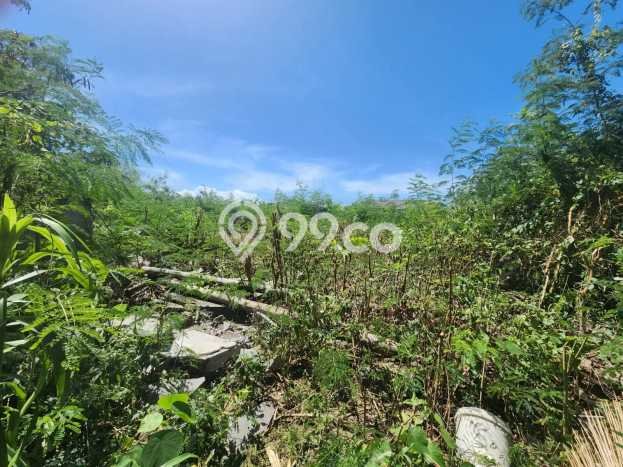 Untuk Disewa Tanah di Sanur Denpasar Seluas 570m2 Untuk Disewa Tanah di Sanur Denpasar Seluas 570m2