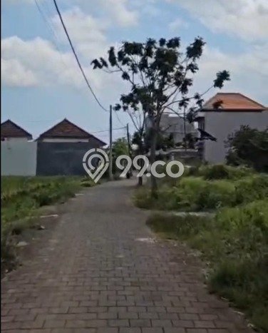 Untuk Dijual Tanah di Tabanan Tabanan Luas 735m2 SHM Untuk Dijual Tanah di Tabanan Tabanan Luas 735m2 SHM