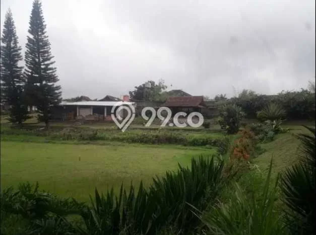 Kavling Tanah Dijual di Lembang Bandung Barat Spesifikasi 3497m2 Kavling Tanah Dijual di Lembang Bandung Barat Spesifikasi 3497m2