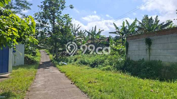 Lahan Dijual Lokasi Bergas, Semarang dengan Luas Tanah 41000m2 dan Status SHM Lahan Dijual Lokasi Bergas, Semarang dengan Luas Tanah 41000m2 dan Status SHM