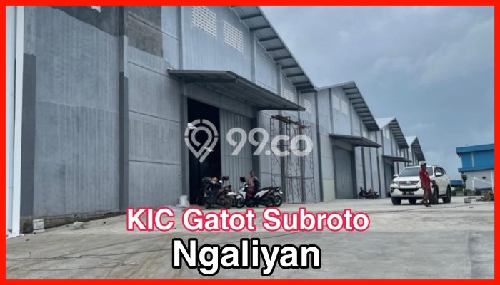Area Strategis! Disewakan Gudang Lokasi Ngaliyan, Semarang Cocok untuk Bisnis Area Strategis! Disewakan Gudang Lokasi Ngaliyan, Semarang Cocok untuk Bisnis