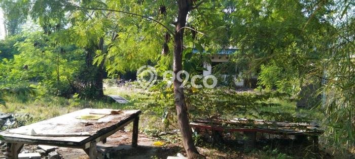 Lahan Kosong Dijual di Kelapa Gading, Jakarta Utara, Luas 1000m2 Area Strategis Lahan Kosong Dijual di Kelapa Gading, Jakarta Utara, Luas 1000m2 Area Strategis