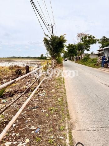 Kavling Tanah Dijual di Babelan Bekasi Spesifikasi 1.5e+06m2 Kavling Tanah Dijual di Babelan Bekasi Spesifikasi 1.5e+06m2