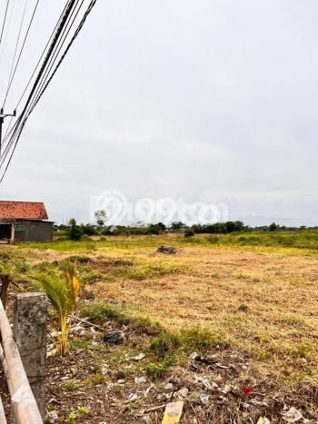 Kavling Tanah Dijual di Babelan Bekasi Spesifikasi 1.5e+06m2 Kavling Tanah Dijual di Babelan Bekasi Spesifikasi 1.5e+06m2
