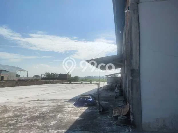Gudang Bagus LT 7022m2 LB 400m2 Dijual di Dempet Demak Gudang Bagus LT 7022m2 LB 400m2 Dijual di Dempet Demak