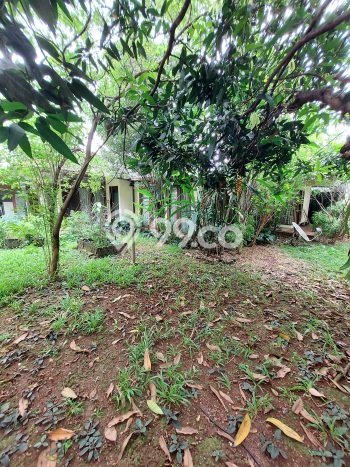 Rumah Elit Modern Tanpa Renovasi di Kemang Jakarta Selatan Rumah Elit Modern Tanpa Renovasi di Kemang Jakarta Selatan