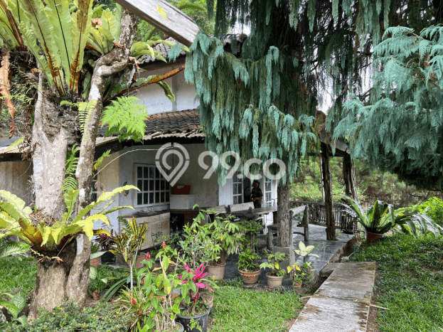 Vila Kawasan Cisarua, Area 2500m2m², Lokasi Strategis Vila Kawasan Cisarua, Area 2500m2m², Lokasi Strategis