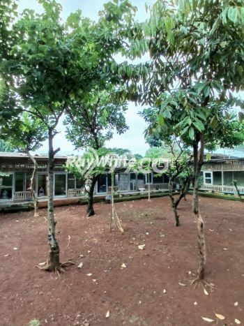Hunian Elit LB 300m2 Siap Pakai Desain Elegan di Cibubur, Depok Hunian Elit LB 300m2 Siap Pakai Desain Elegan di Cibubur, Depok