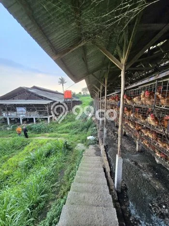 Lahan Strategis di Cicurug Dijual dengan Luas 77000m2 Lahan Strategis di Cicurug Dijual dengan Luas 77000m2