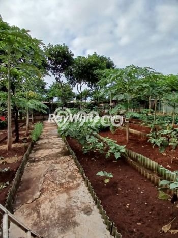 Hunian Elit LB 300m2 Siap Pakai Desain Elegan di Cibubur, Depok Hunian Elit LB 300m2 Siap Pakai Desain Elegan di Cibubur, Depok