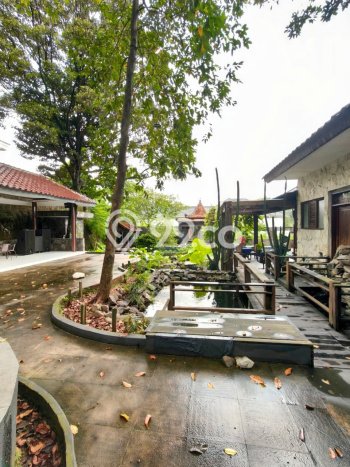 Siap Huni Rumah Mewah 7 Kamar di Cilandak Dekat ke Mana Saja Siap Huni Rumah Mewah 7 Kamar di Cilandak Dekat ke Mana Saja