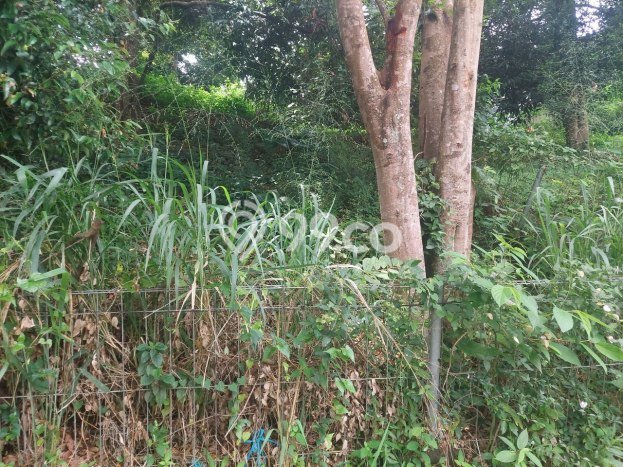 Tanah Dijual Area Strategis di Dago Bandung 139m2 Tanah Dijual Area Strategis di Dago Bandung 139m2