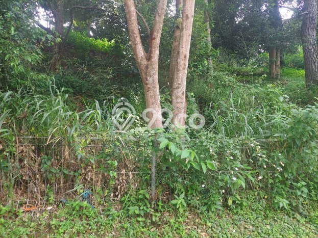 Tanah Dijual Area Strategis di Dago Bandung 139m2 Tanah Dijual Area Strategis di Dago Bandung 139m2