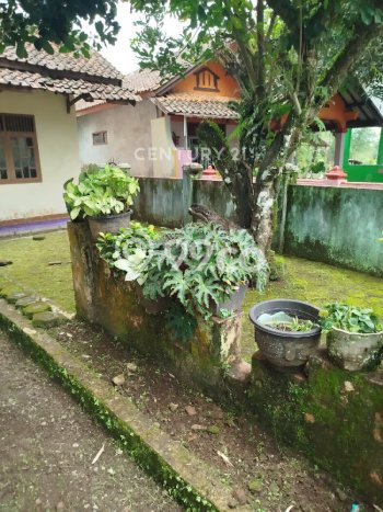 Jual Rumah Murah Meriah Ciawi Punya 3 KT & LT 224m2 Jual Rumah Murah Meriah Ciawi Punya 3 KT & LT 224m2