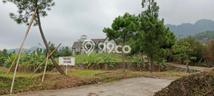 Tanah Investasi Dijual di Bogor Punya Luas 17000m2 Tanah Investasi Dijual di Bogor Punya Luas 17000m2
