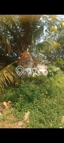 Tanah untuk Dijual di Cisauk Tangerang Luas 6400m2 Tanah untuk Dijual di Cisauk Tangerang Luas 6400m2