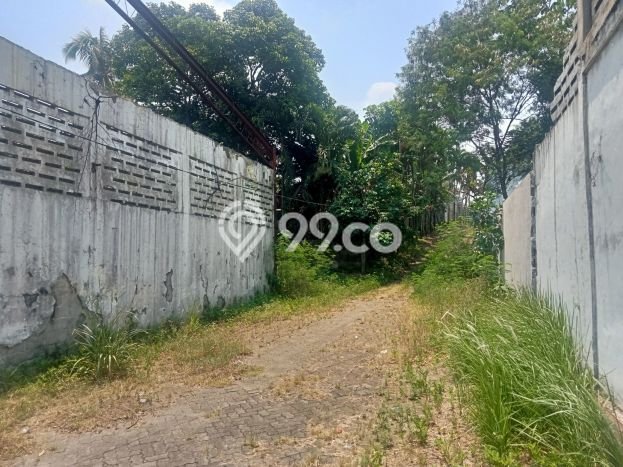 Tanah di Gunung Sindur, Bogor Luas 5516m2 Dijual Segera Tanah di Gunung Sindur, Bogor Luas 5516m2 Dijual Segera