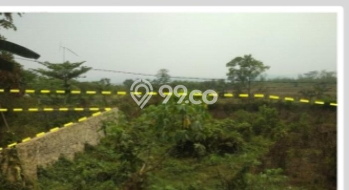 Dijual Tanah di Parung Panjang Bogor Luas 3877m2 - Dijual Tanah di Parung Panjang Bogor Luas 3877m2 -