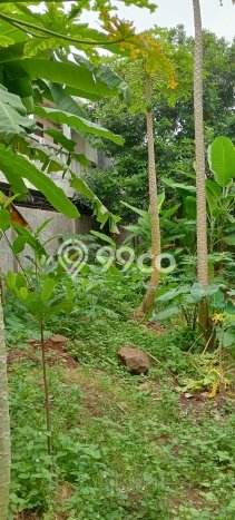 Kavling Tanah Dijual di Pondok Aren Tangerang Selatan Spesifikasi 7400m2 Kavling Tanah Dijual di Pondok Aren Tangerang Selatan Spesifikasi 7400m2