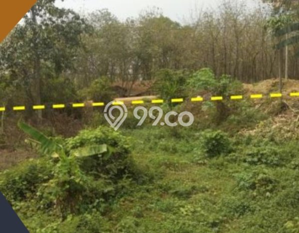 Dijual Tanah di Parung Panjang Bogor Luas 3877m2 - Dijual Tanah di Parung Panjang Bogor Luas 3877m2 -