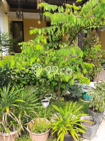 Rumah Strategis area Pasar Kemis, Tangerang, Luas 72m² Bangunan 105m² - BISA KPR! Rumah Strategis area Pasar Kemis, Tangerang, Luas 72m² Bangunan 105m² - BISA KPR!