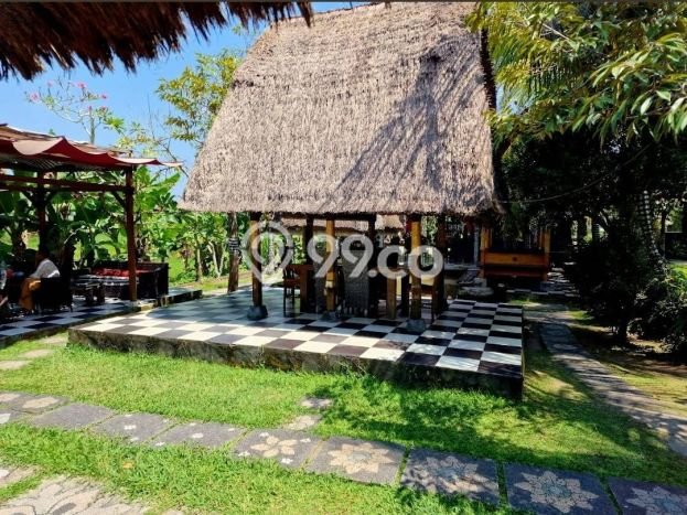 INVESTASI CERDAS! Komersial Kawasan Ubud, Luas 1000m², Akses Strategis INVESTASI CERDAS! Komersial Kawasan Ubud, Luas 1000m², Akses Strategis