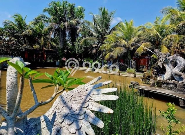 INVESTASI CERDAS! Komersial Kawasan Ubud, Luas 1000m², Akses Strategis INVESTASI CERDAS! Komersial Kawasan Ubud, Luas 1000m², Akses Strategis