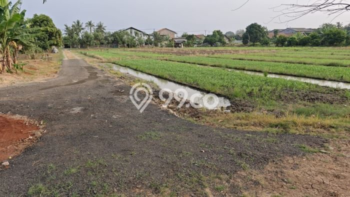 Tanah Kavling Dijual di Tangerang dengan Spesifikasi 28000m2 Tanah Kavling Dijual di Tangerang dengan Spesifikasi 28000m2