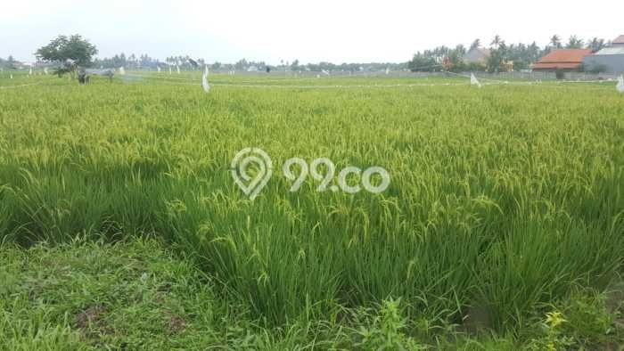 Dijual Tanah di Tangerang, Luas 5500m2 SHM Dijual Tanah di Tangerang, Luas 5500m2 SHM
