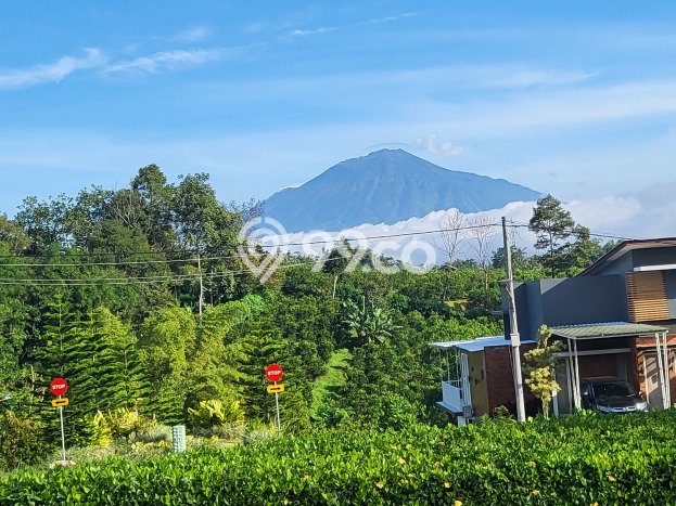 Disewakan Cepat Rumah Kondisi Baik di Kawasan Dau, Malang Disewakan Cepat Rumah Kondisi Baik di Kawasan Dau, Malang