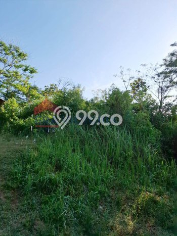 Kavling Tanah Dijual di Dau, Malang, Luas 201m2 Area Strategis Kavling Tanah Dijual di Dau, Malang, Luas 201m2 Area Strategis