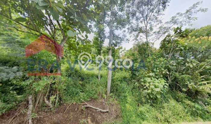 Kavling Tanah Dijual di Wagir Malang Spesifikasi 2476m2 Kavling Tanah Dijual di Wagir Malang Spesifikasi 2476m2