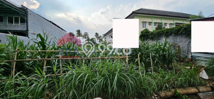 Tanah untuk Dijual Lokasi Pakis, Malang Luas 1927m2 SHM Tanah untuk Dijual Lokasi Pakis, Malang Luas 1927m2 SHM