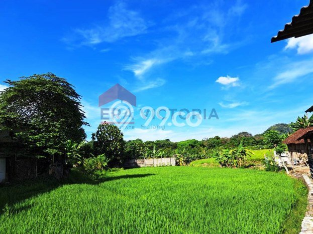 Tanah untuk Dijual Lokasi Purwosari, Pasuruan Luas 3491m2 SHM Tanah untuk Dijual Lokasi Purwosari, Pasuruan Luas 3491m2 SHM