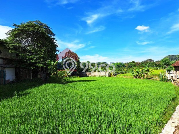 Tanah untuk Dijual Lokasi Purwosari, Pasuruan Luas 3491m2 SHM Tanah untuk Dijual Lokasi Purwosari, Pasuruan Luas 3491m2 SHM