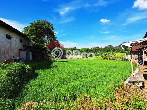 Tanah untuk Dijual Lokasi Purwosari, Pasuruan Luas 3491m2 SHM Tanah untuk Dijual Lokasi Purwosari, Pasuruan Luas 3491m2 SHM
