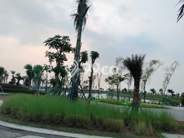 Untuk Dijual Tanah di Jakarta Utara, Luas 300m2 - Untuk Dijual Tanah di Jakarta Utara, Luas 300m2 -