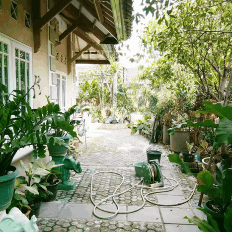 Dijual Rumah Premium dengan Fasilitas Sekitar Lengkap di Kelapa Gading, Jakarta Utara Dijual Rumah Premium dengan Fasilitas Sekitar Lengkap di Kelapa Gading, Jakarta Utara