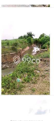Tanah Komersial Dijual di Kudus Kabupaten Kudus 1.19949e+06m2 Tanah Komersial Dijual di Kudus Kabupaten Kudus 1.19949e+06m2