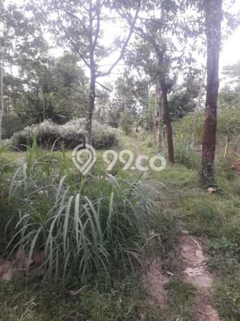 Kavling Tanah untuk Dijual di Boyolali Kota, Boyolali, Luas 30000m2 Kavling Tanah untuk Dijual di Boyolali Kota, Boyolali, Luas 30000m2