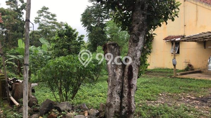 Tanah Dijual Lokasi Strategis di Salatiga dengan Luas 5941m2 Tanah Dijual Lokasi Strategis di Salatiga dengan Luas 5941m2